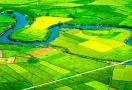 Rice fields in Lạng Sơn