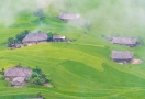 Terraced rice fields Hoàng Su Phì (Hà Giang)