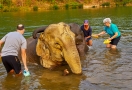 Elephant Village Camp