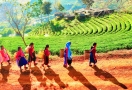 Doi Mae Salong