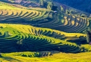 922-sapa-vietnam-2
