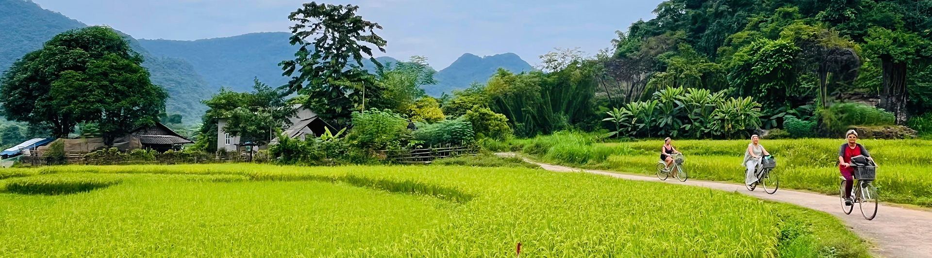 15 days in Vietnam