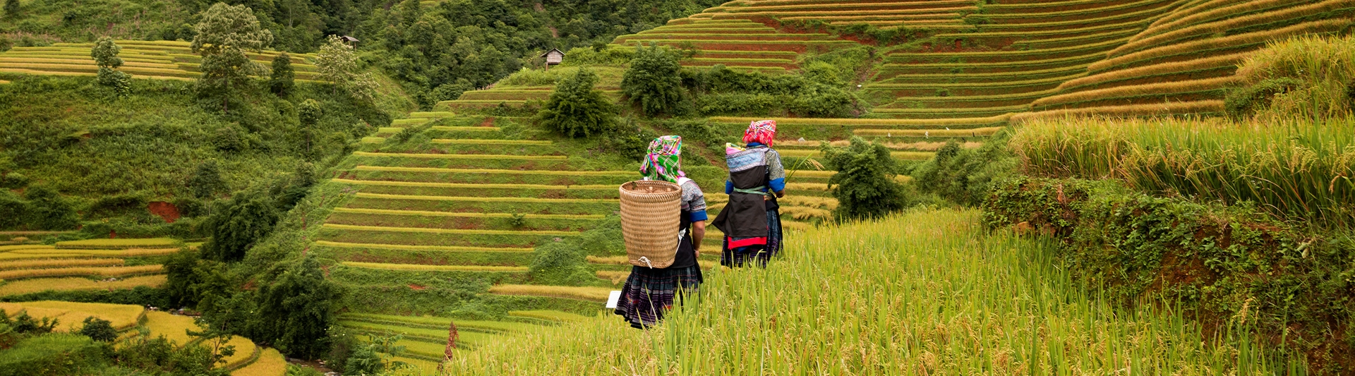 Places To Visit & Things To Do In Sapa