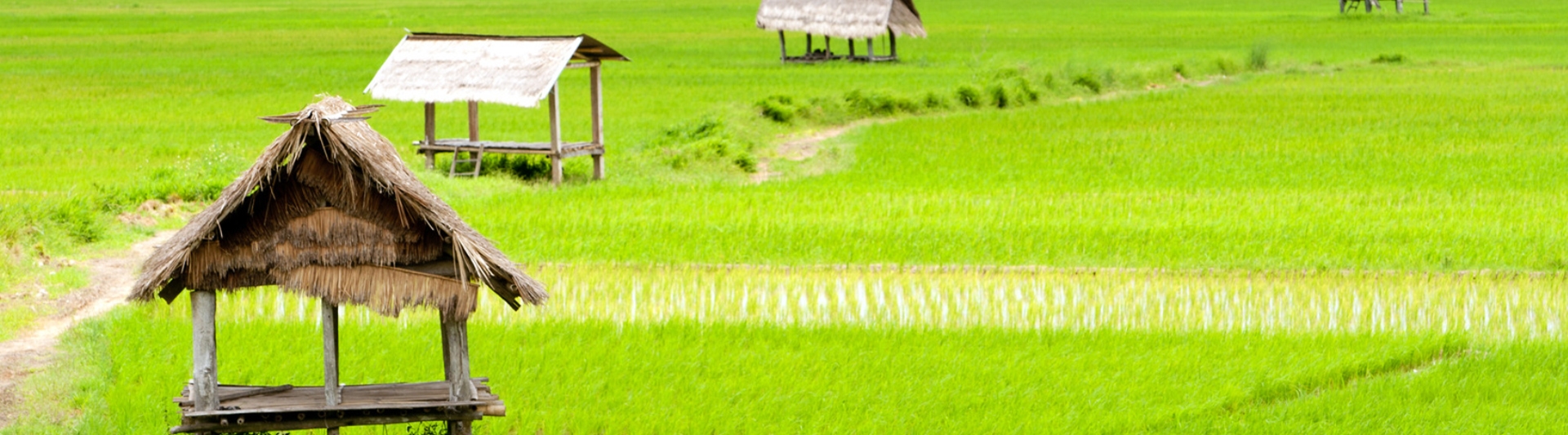 Luang Namtha Travel Guide
