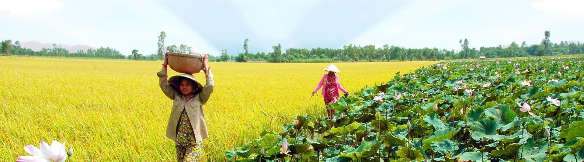 Experiences of Customers In The Mekong Delta