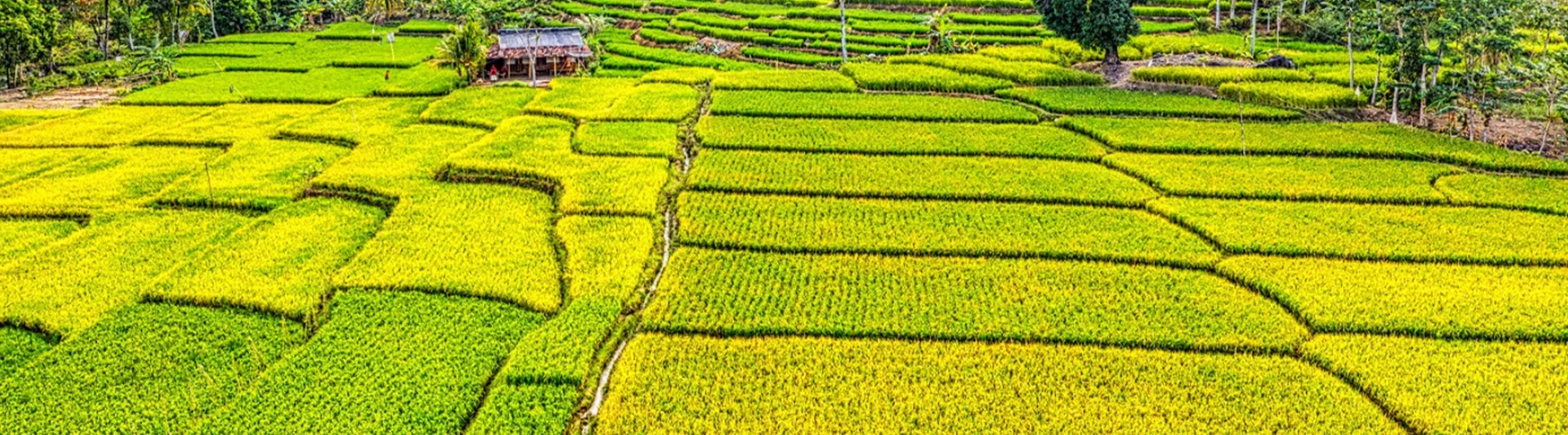 Experiences of Customers In Mai Chau