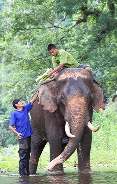 Thailand Travel Guide