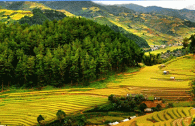 Top 12 Unmissable Places To Visit In Mai Chau, Vietnam