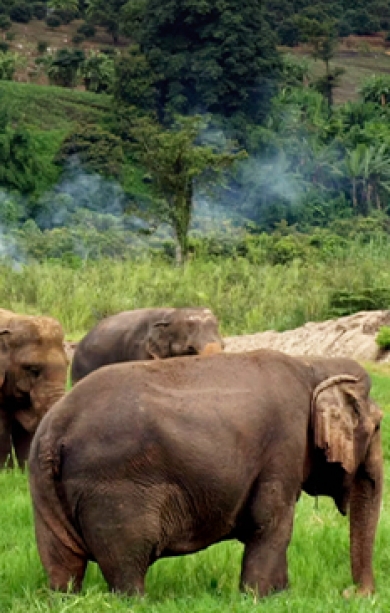 Mondulkiri