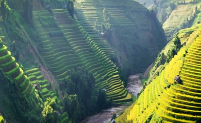 Authentic Vietnam Trip 14 Days 13 Nights