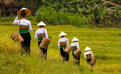 Best of Vietnam and Cambodia Tour 14 Days 13 Nights