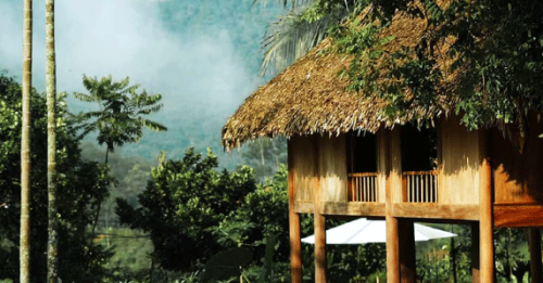 Image Lâm Hiếu Dũng image beautiful image beautiful - Top 12 Affordable Homestays With Beautiful Views In Pu Luong