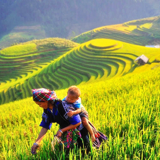 Route Photography - Rice fields of North Vietnam 12 Days 11 Nights
