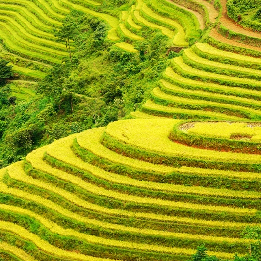 Hoang Su Phi Ha Giang amazing tours by Bus 6 Days 5 Nights