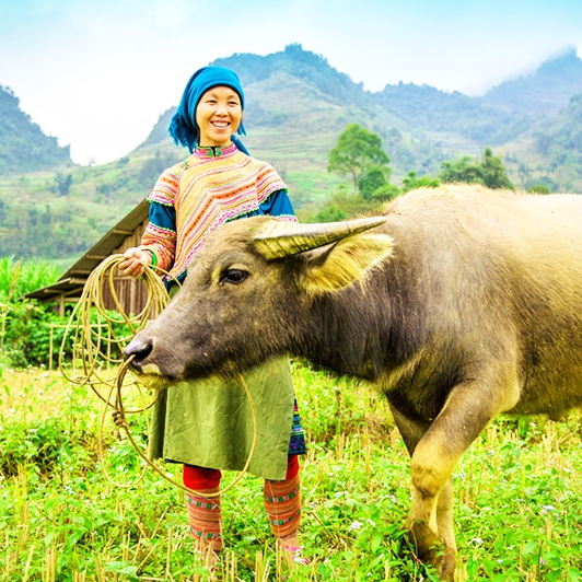Upper Tonkin - The Hidden Beauty of Authentic Vietnam 10 Days 9 Nights