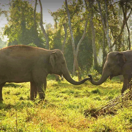 Remarkable Chiang Rai Day Trips 4 Days 3 Nights