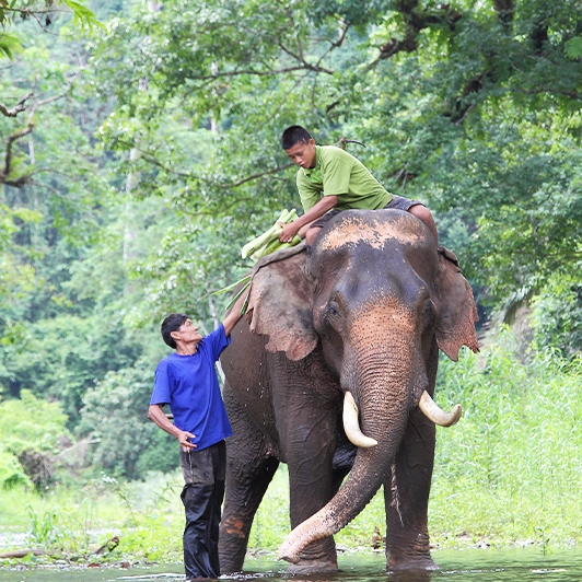 Splendid Thailand and Cambodia Tour 15 Days 14 Nights