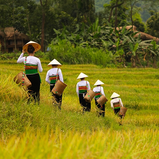 Best of Vietnam and Cambodia Tour 14 Days 13 Nights