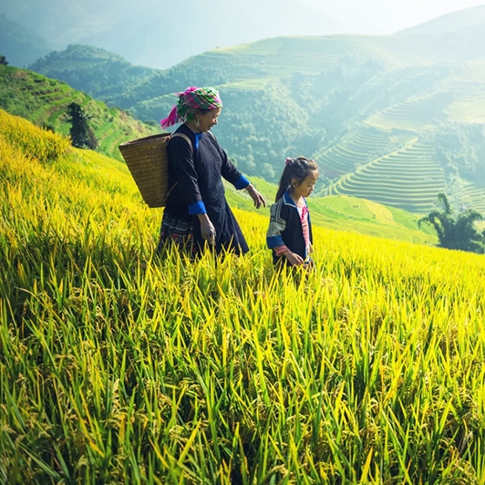 Vietnam and Cambodia Highlights Itinerary 14 Days 13 Nights