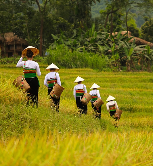 Best of Vietnam and Cambodia Tour 14 Days 13 Nights