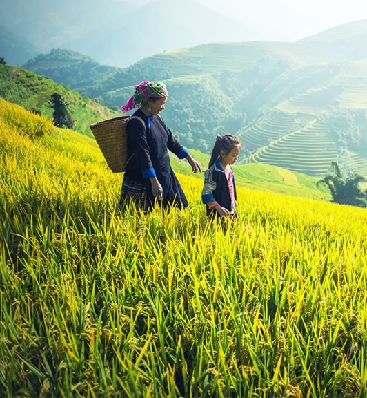 Vietnam and Cambodia Highlights Itinerary 14 Days 13 Nights