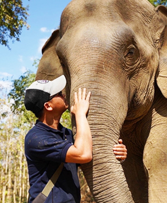 Elephant Sanctuary in Luang Prabang by Mr.Bernard