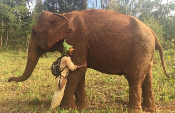 What To Do In Cambodia? Top 10 Best Things To Do In Mondulkiri What To Do In Cambodia? Top 10 Best Things To Do In Mondulkiri