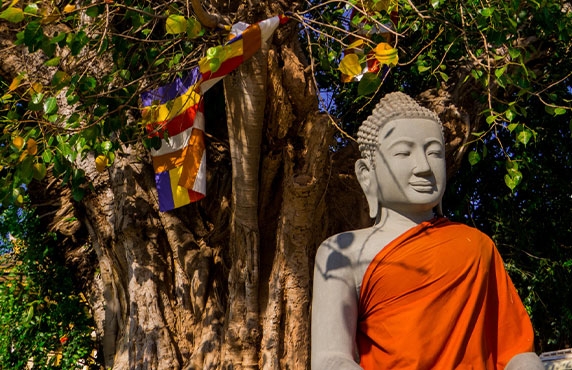 Explore Phnom Penh City Tour By Reviewing With Miss Mabel Explore Phnom Penh City Tour By Reviewing With Miss Mabel