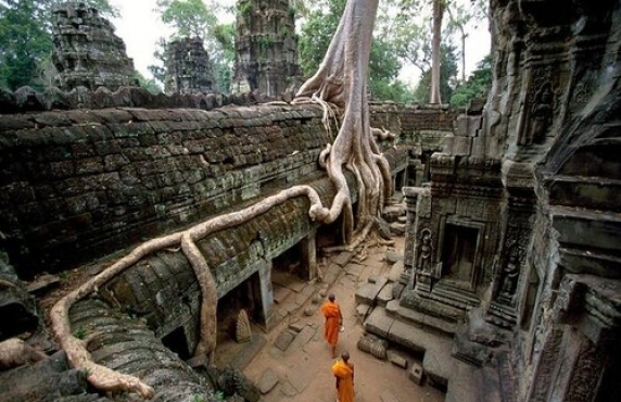 Visit Ta Prohm Temple In Angkor Complex When Travelling To Cambodia Visit Ta Prohm Temple In Angkor Complex When Travelling To Cambodia