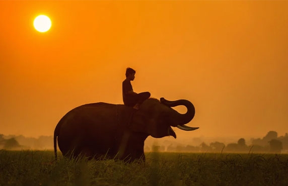 Top 10 Best Things To Do And See In Siem Reap, Cambodia Top 10 Best Things To Do And See In Siem Reap, Cambodia