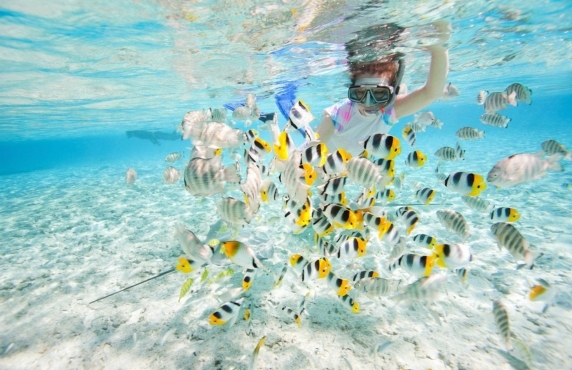 Where To Eat In Koh Rong? Top 05 Best Restaurants In Koh Rong Where To Eat In Koh Rong? Top 05 Best Restaurants In Koh Rong