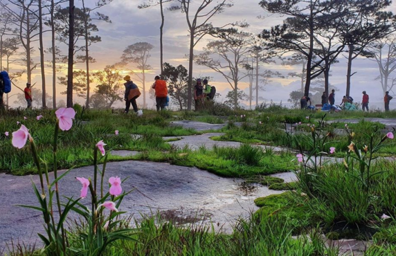 Laos Family Holiday - Where To Visit In Southern Laos With Family?