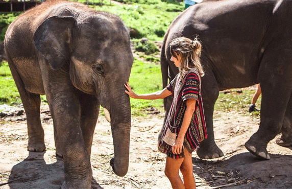 What To Do In Chiang Mai? Top 7 Best Things To Do In Chiang Mai Thailand What To Do In Chiang Mai? Top 7 Best Things To Do In Chiang Mai Thailand