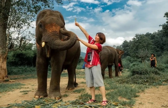 Chiang Mai In April - What To Do In Chiang Mai When It’s Hot ?