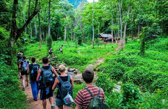 Chiang Mai Trekking: Explore Top Best Places To Trek In Chiang Mai Chiang Mai Trekking: Explore Top Best Places To Trek In Chiang Mai