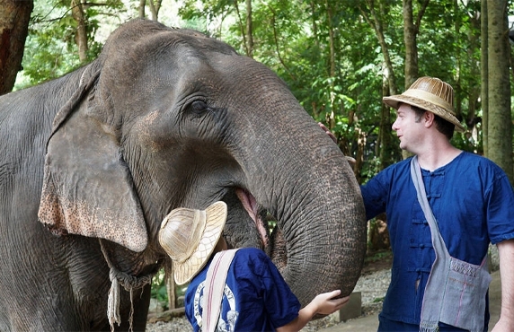 Chiang Rai Or Chiang Mai: Which Destination Should You Choose For Your Trip Chiang Rai Or Chiang Mai: Which Destination Should You Choose For Your Trip