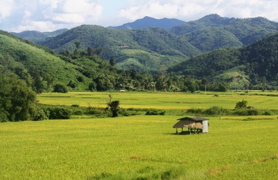 What To Do In Chiang Rai Thailand During Rainy Season? What To Do In Chiang Rai Thailand During Rainy Season?