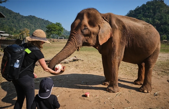 What To Do In Chiang Rai With Family? Activities In Chiang Rai With Kids What To Do In Chiang Rai With Family? Activities In Chiang Rai With Kids