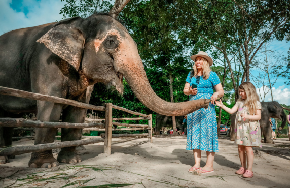 21-day Thailand Laos Itinerary Of M.Lebron’s Family 21-day Thailand Laos Itinerary Of M.Lebron’s Family