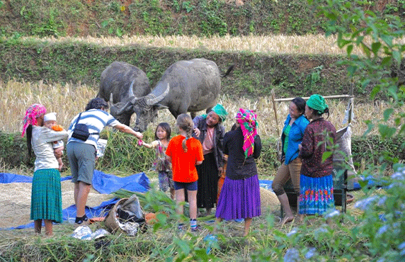 Top 09 Best Things To Do In Ba Be Lake - Bac Kan, Vietnam Top 09 Best Things To Do In Ba Be Lake - Bac Kan, Vietnam