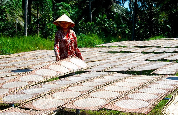 What To Do In Ben Tre ? Visit My Long Rice Paper Craft Village In Ben Tre, Vietnam What To Do In Ben Tre ? Visit My Long Rice Paper Craft Village In Ben Tre, Vietnam
