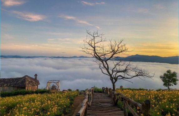 Evaluation Of 2 Weeks In The Central Highlands Of Vietnam By Mr. Garo Evaluation Of 2 Weeks In The Central Highlands Of Vietnam By Mr. Garo