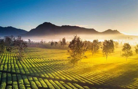 Review Of 5 Days In The Central Highlands Of Vietnam By Mr. Hamid Review Of 5 Days In The Central Highlands Of Vietnam By Mr. Hamid