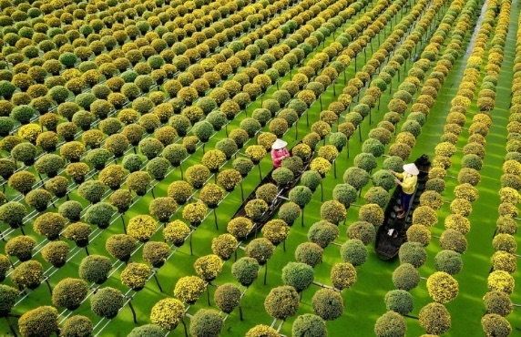 Can Tho - Sadec - Long Xuyen: Best Mekong Itinerary 4 Days With Morin