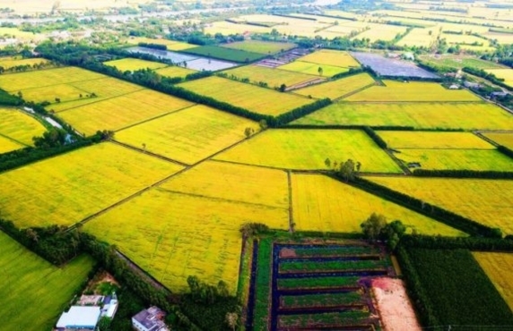 What To Do In Mekong Delta ? Top 5 Well-known Floating Markets Mekong What To Do In Mekong Delta ? Top 5 Well-known Floating Markets Mekong