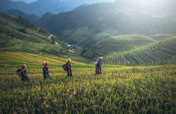 Choosing Sapa Or Mu Cang Chai For Your Northern Vietnam Trip? Choosing Sapa Or Mu Cang Chai For Your Northern Vietnam Trip?
