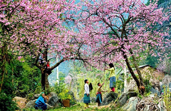 Top 16 Best Homestays In Sapa, Vietnam Top 16 Best Homestays In Sapa, Vietnam