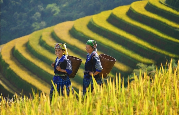 15-day Vietnam Travel Itinerary In November With A View Of Mr. Luthier 15-day Vietnam Travel Itinerary In November With A View Of Mr. Luthier