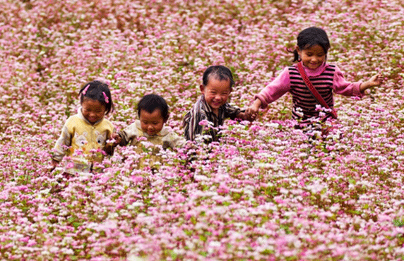 Discover Ha Giang, Vietnam: The Top 13 Places To Visit Discover Ha Giang, Vietnam: The Top 13 Places To Visit