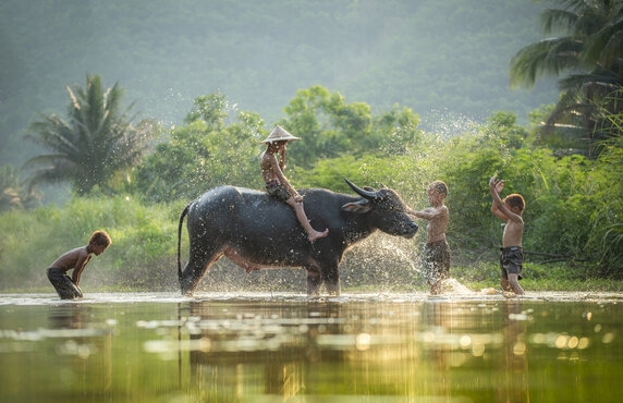 Itinerary Mai Chau Vietnam 1 Day: What To Do And What To See During One-day Trip? Itinerary Mai Chau Vietnam 1 Day: What To Do And What To See During One-day Trip?